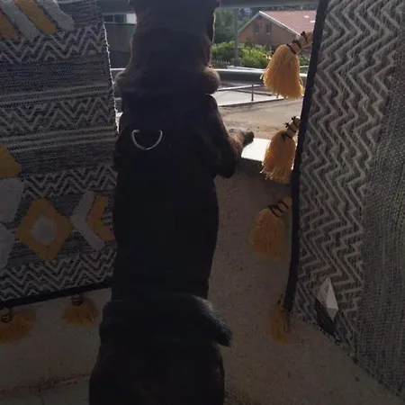 Garca-real 아파트