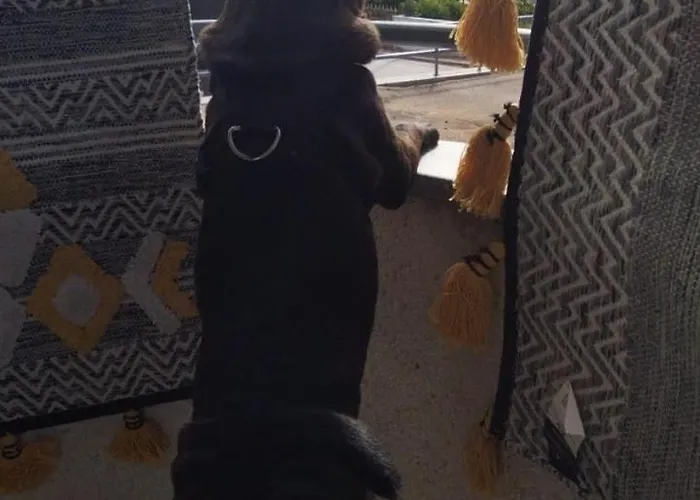 Garca-real Lejlighed